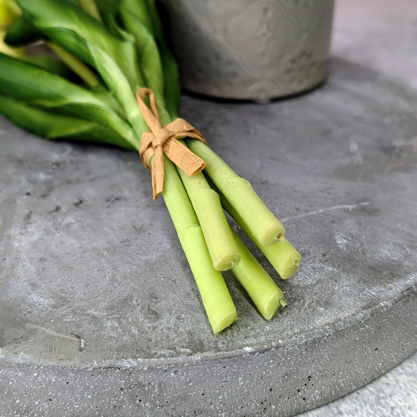 Rückansicht der Stiele des kleinen Tulpenstraußes – Nahaufnahme auf grauer Platte