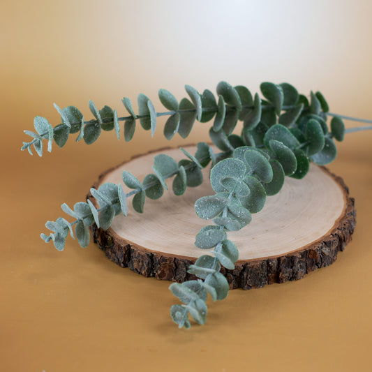 Eukalyptuszweige auf Tisch mit Holzaccessoire