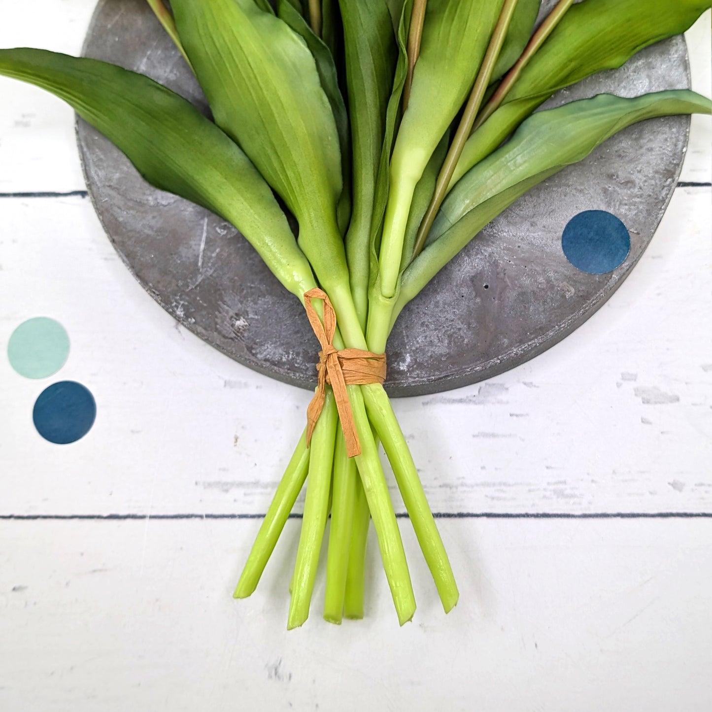 Nahansicht der grünen Stängel und Blätter des Tulpenstraußes, mit Naturband gebunden auf grauem Untergrund