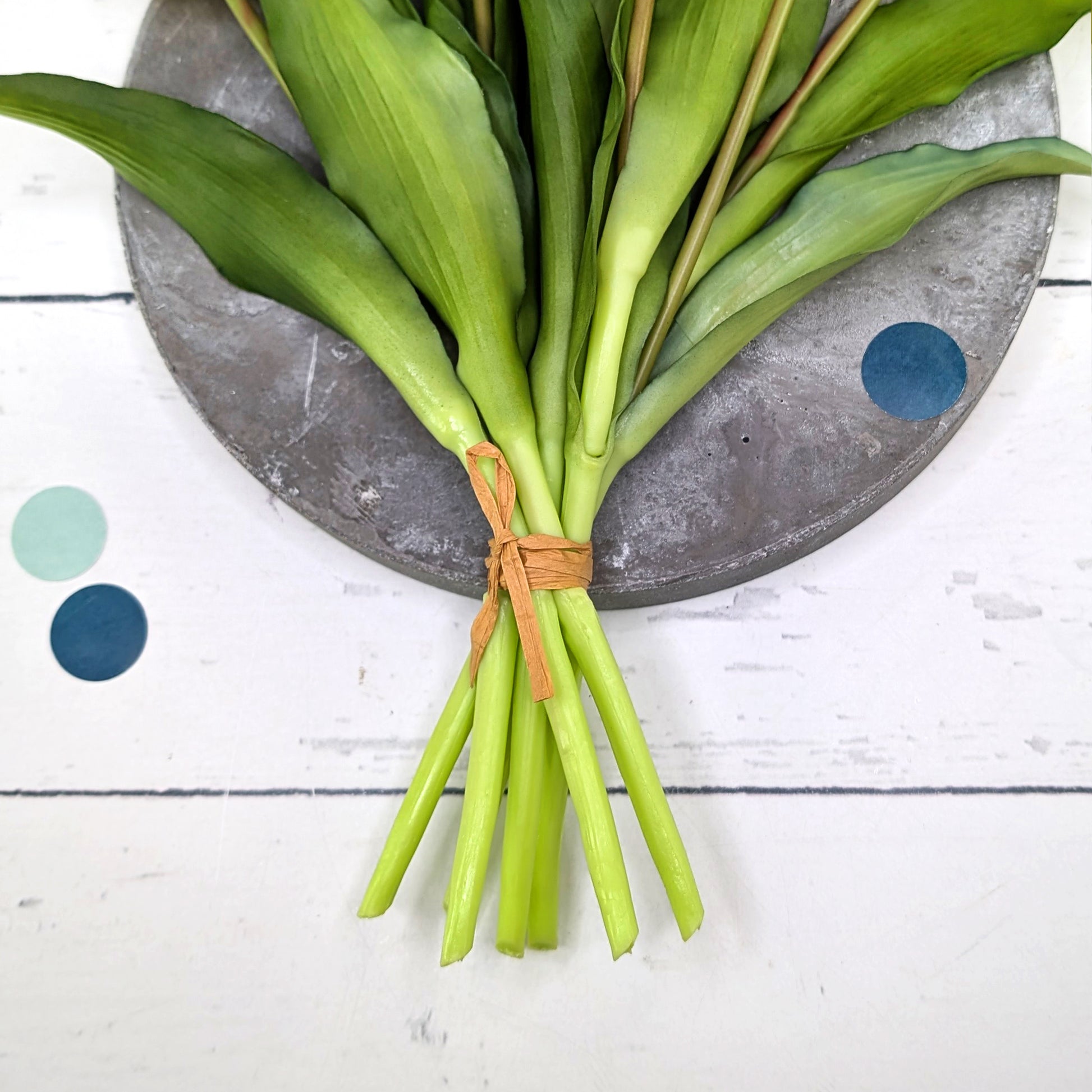 Nahansicht der grünen Stängel und Blätter des Tulpenstraußes, mit Naturband gebunden auf grauem Untergrund