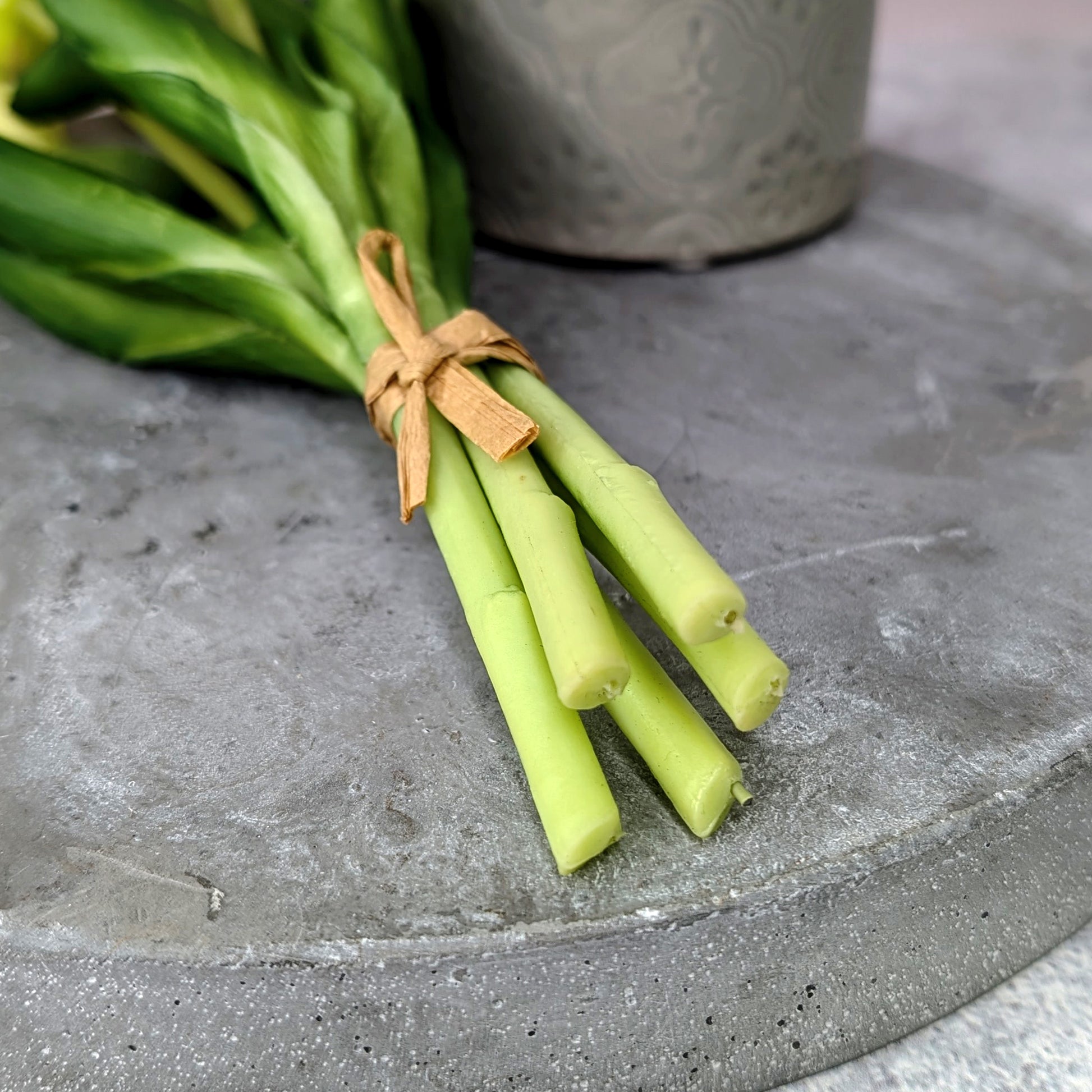 Rückansicht der Stiele des kleinen Tulpenstraußes – Nahaufnahme auf grauer Platte