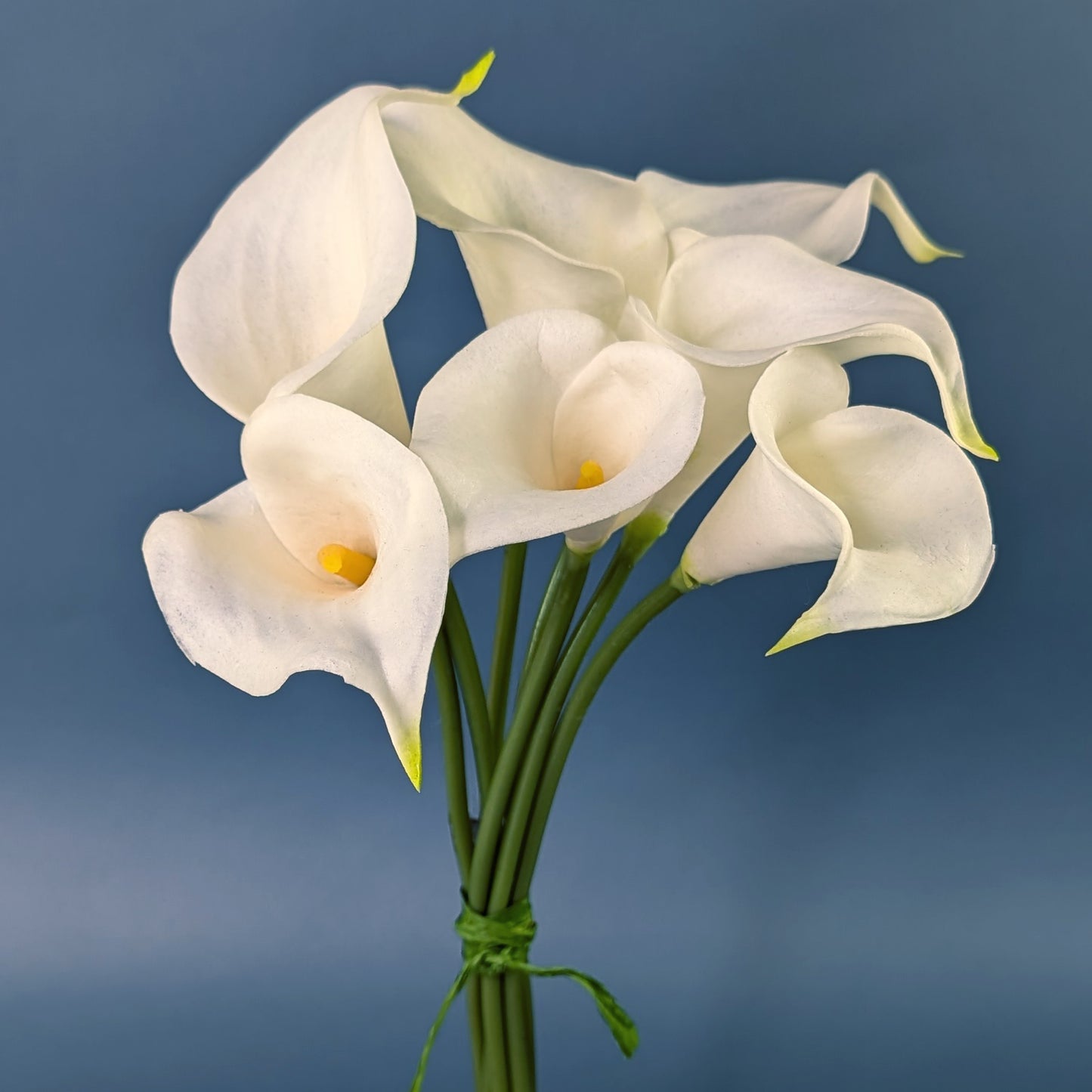 Sieben weiße Calla-Seidenblumen als Bund vor blauem Hintergrund
