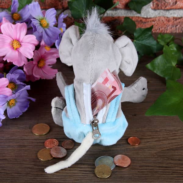 Kleine Plüschmaus als Geldgeschenk
