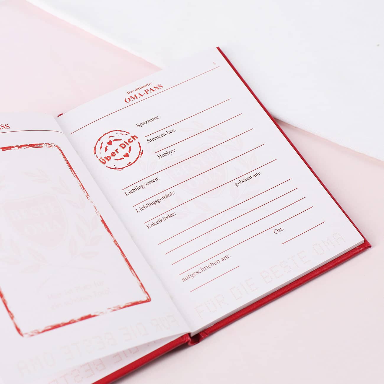 Witziges Buch Oma Pass