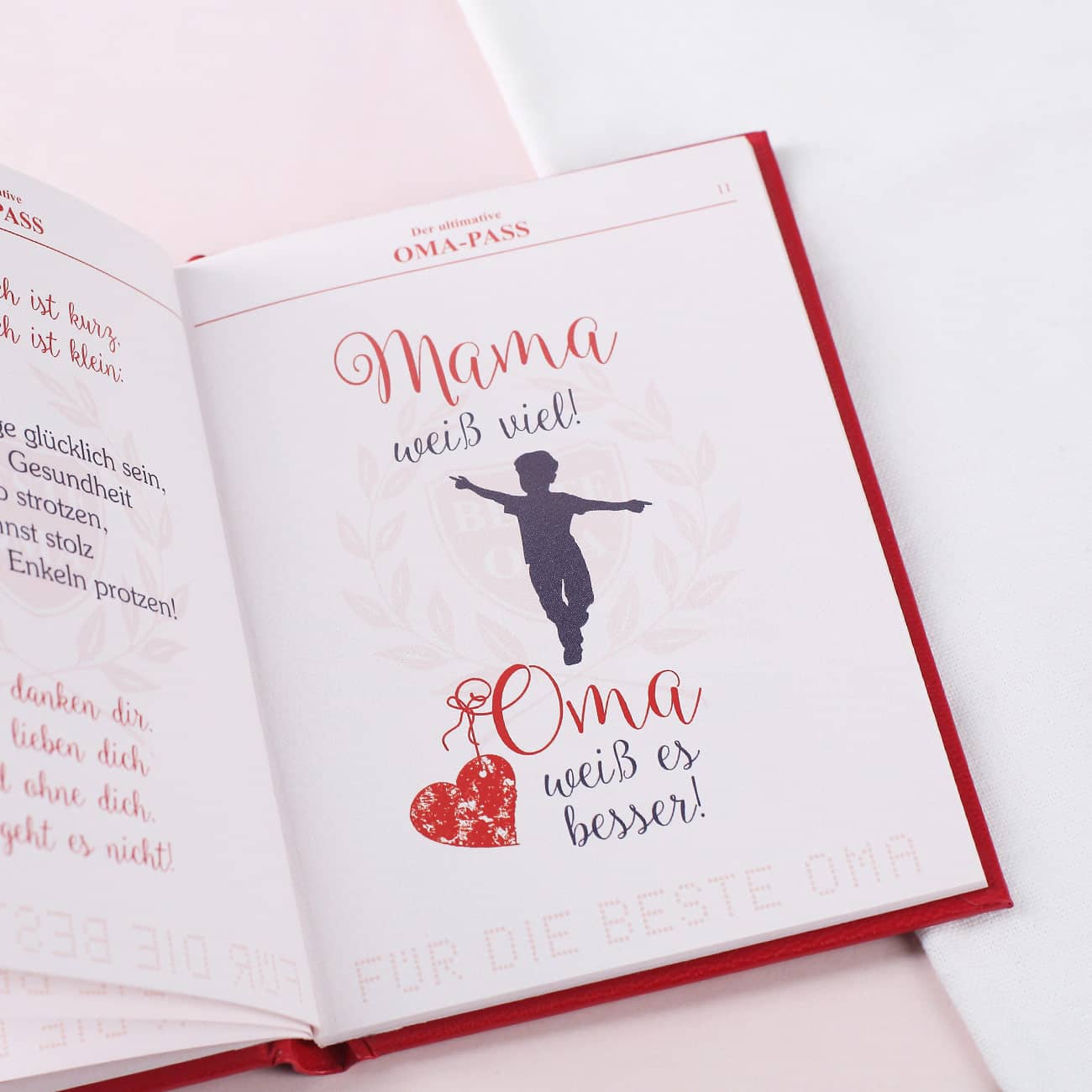 Oma Pass - Spaßbuch