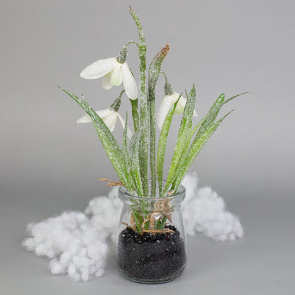 Schneeglöckchen im Glas mit Eiskristall-Effekt auf grauem Hintergrund