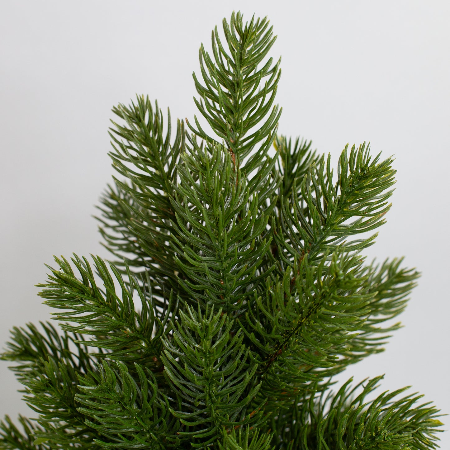 Detailaufnahme der naturgetreuen Tannenzweige des künstlichen Weihnachtsbaums