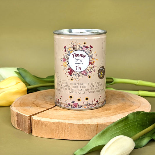 Dose mit Blumenwiese-Saatgut und Aufschrift „Flowers in a Tin“ auf Holzuntergrund mit Tulpen