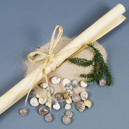 Füllung der Flaschenpost samt Sand, Muscheln, Grün und Papier