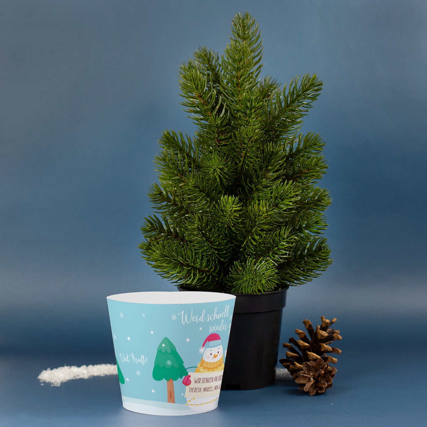 Mini-Weihnachtsbaum mit Banderole und Wunschtext als liebevolles Geschenk zur Genesung im Winter