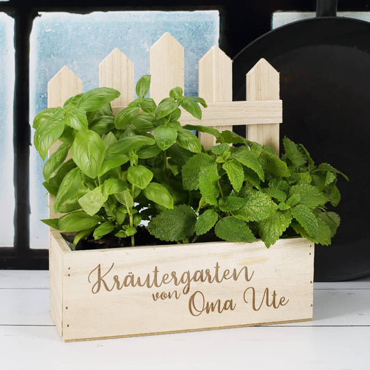 Kleiner Kräutergarten für die Küche