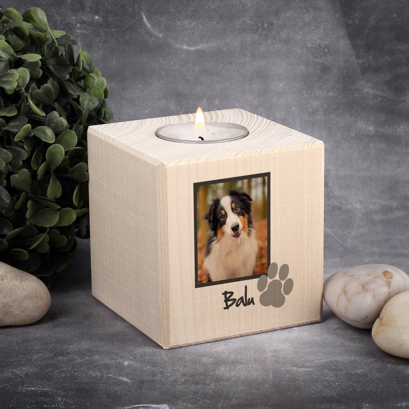 Trauerteelicht für Hunde