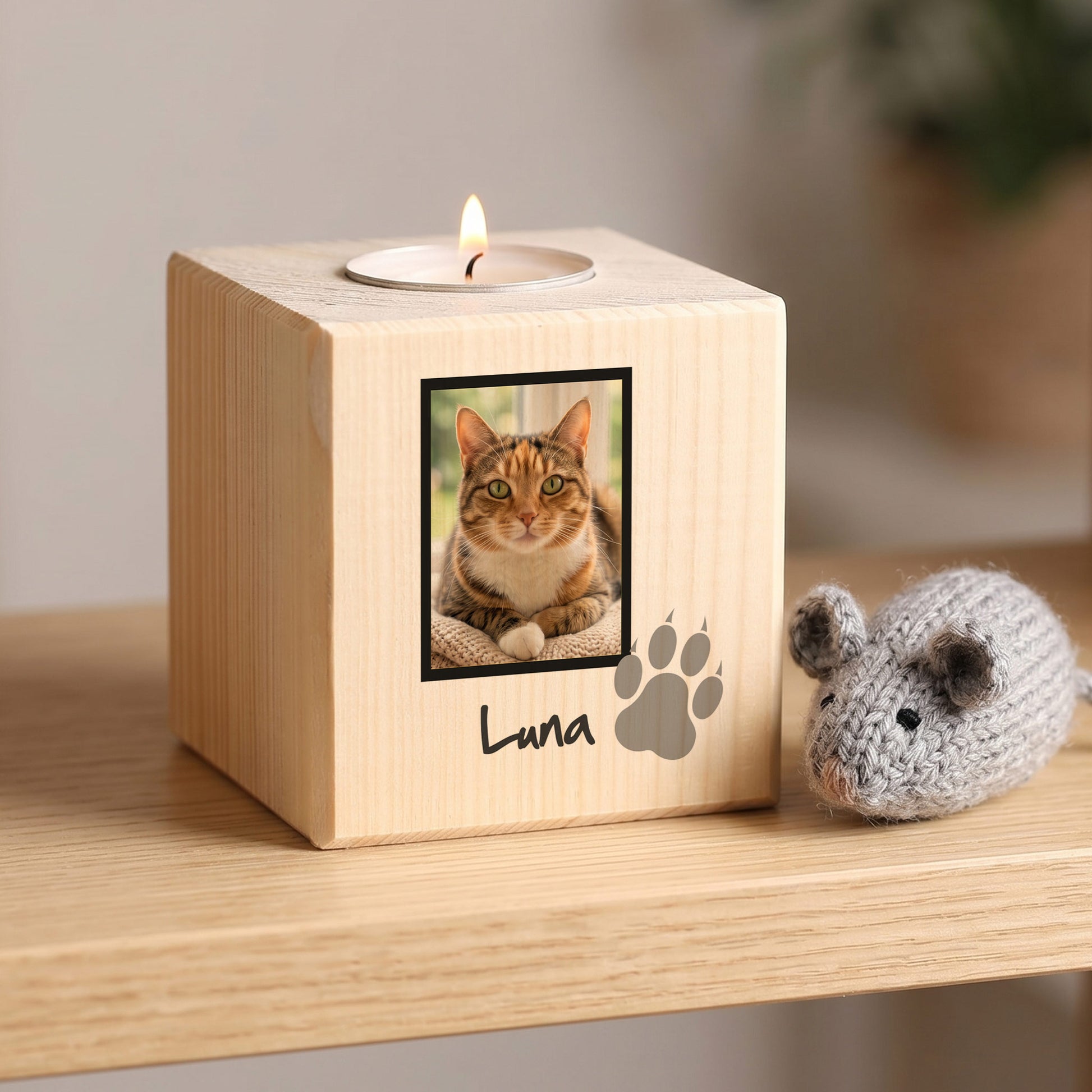 Gedenklicht an die geliebte Katze mit Foto und Name