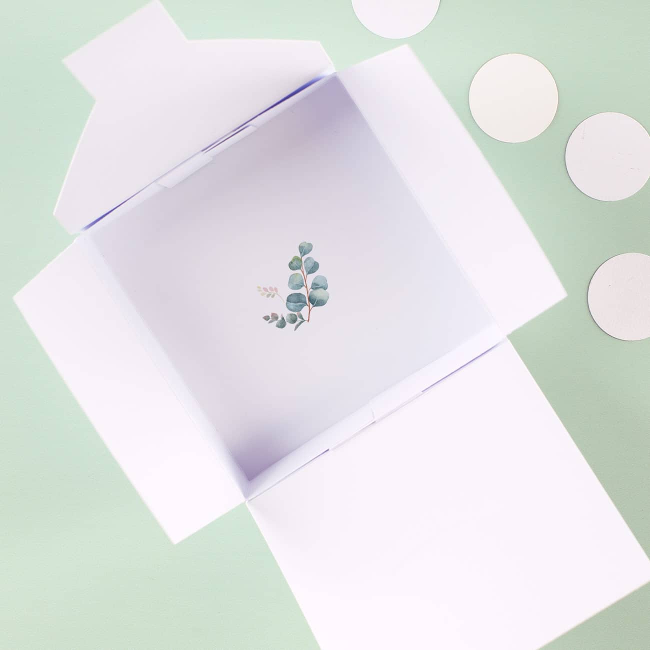 Innerhalb der Geschenkverpackung kleiner Eukalyptus am Boden